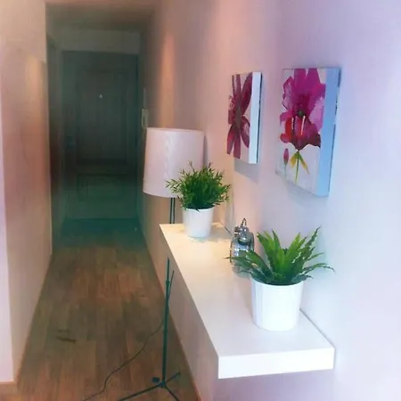 Apartment One Bedroom With Terrace And Wifi At *